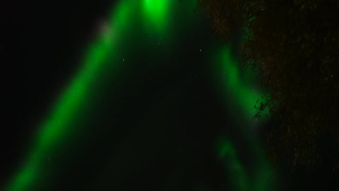 Stunning Aurora Borealis Chasing Tour in Fairbanks, Alaska In September 2021