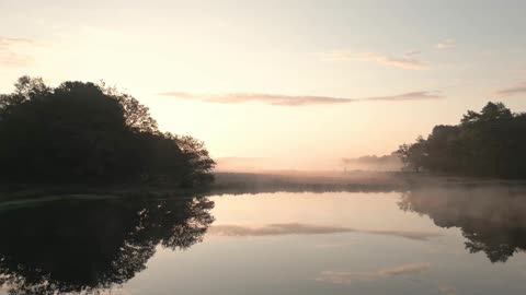 Relaxing , dainty, satisfictional natural Vibe Video