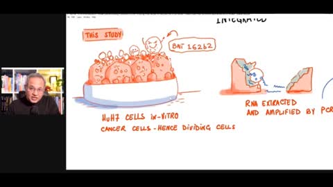 Pfizer Vaccine Becomes DNA in Liver Cells. (In-vitro Swedish Study) Feb. 25 2022