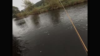 Fishing the Light Spanish Needle North Country Spider