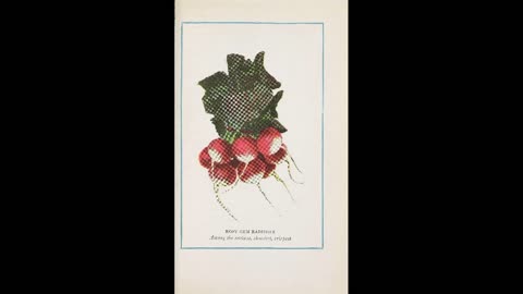 Plant Culture 02: Radish Domestication