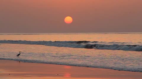 Waves at Sunset in HD slow motion CC-BY NatureClip