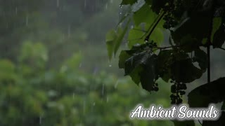 Rain / Storm Sounds - Ambient Relax -