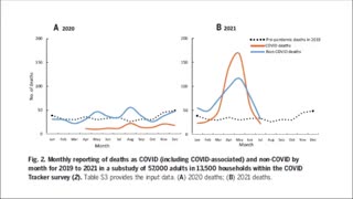 Excess mortality caused by gov't response and vaccine rollout in Canada, USA, India, and Australia