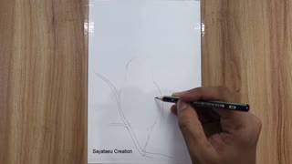How to draw a Bird Scenery with pencil step by step, Pencil Drawing for beginners