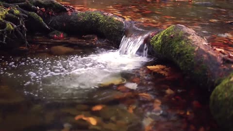 tiny waterfall in forest