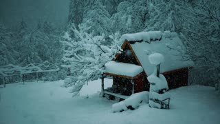 "Winter Storm Blizzard Sounds for Deep Sleep, Relaxation, and Stress Relief"- 2 Hours 13 Min