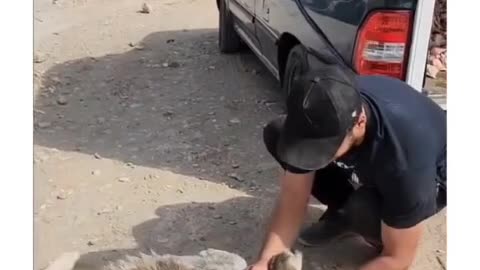 A stray dog thanking 🥹a man for giving him food