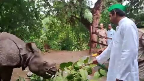 Tej Pratap Yadav feeding Rhinos in Patna Zoo India #Rhinos