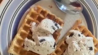 Ice cream waffle