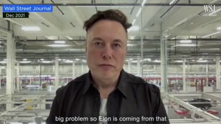 Elon Musk: "Our Population Is Collapsing." As Fertility Rate Drops, Europeans Fear Extinction
