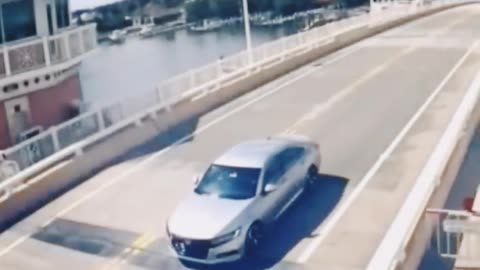 Unexpected Bridge Encounters: Bizarre Moments Captured on Camera