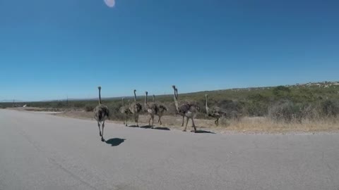 Summer in Cape Town 2017