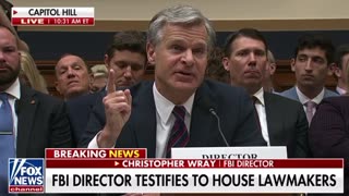 No Mr. Wray. The top brass of the FBI needs to be fired starting with you. #DrainTheSwamp