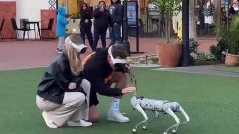 Walking a dog in 2024