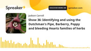 Show 36: The Dutchman's Pipe, Barberry, Poppy and bleeding Hearts families of herbs 3