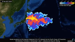 Japan's nuclear wastewater discharges into the sea are causing untold harm
