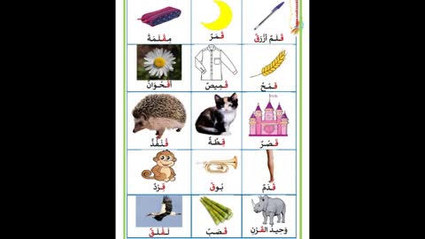 تعليم الحروف الهجائية العربية- حرف القاف- #تعليم_اللغة_العربية​​​​ learning Arabic-Arapça Öğretimi