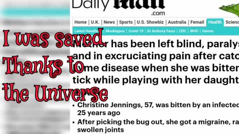 Key Facts That Saved Me From Chronic Lyme