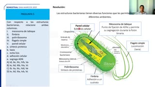 SEMESTRAL ADUNI 2021 | Semana 01 | Biología S2 | Literatura | RM