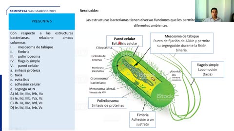 SEMESTRAL ADUNI 2021 | Semana 01 | Biología S2 | Literatura | RM