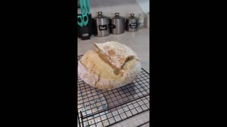 Learning Sourdough