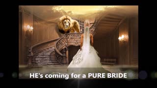Pure Bride (by Leeland)