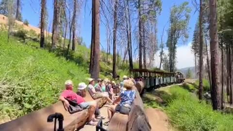 BEST vintage logging steam train ride in Northern California!