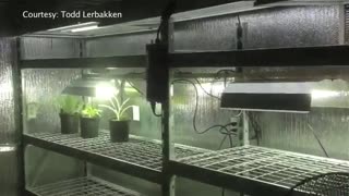LightRail Light Mover with Grow Racks