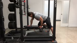 Quadruped Row