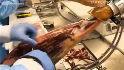 Spanish Ham Costs $700