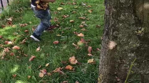 Squirrel chaser