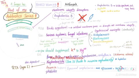 Antibiotics and Antifungals | Amphotericin B | Medical Mnemonics