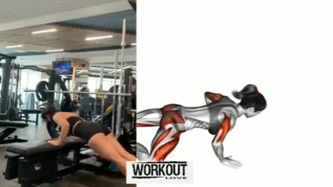 fitness_workout, workout funny, workout routine, workout program