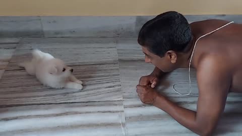 CUTE DOG WITH OWNER