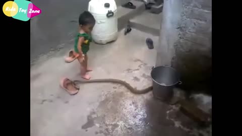 Innocent Kid playing with Snake