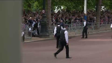 Protesters carried away by police at the start of Trooping the Colour