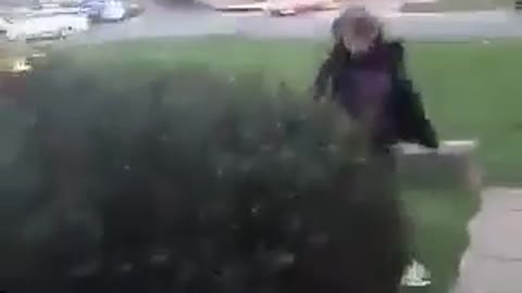 Kid sips beer backflip bush