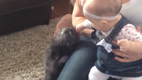 Puppy's first encounter with baby is beyond precious