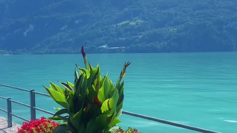 Turquoise paradise.. - - - - - -📍Brienz🇨🇭