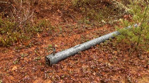 Wet woods, quiet moment, irrigation artifact.