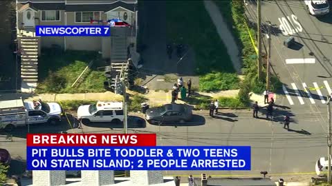 2 teens, toddler attacked by pit bulls on Staten Island