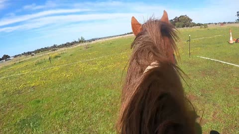 POV Horse Riding: Riding Cowboy