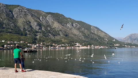 Kotor embankment, Montenegro