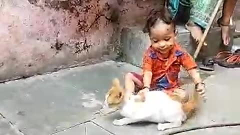 Cute baby playing a cat