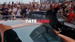 Andrew Tate: The Unparalleled Fan Support That Sets Him Apart