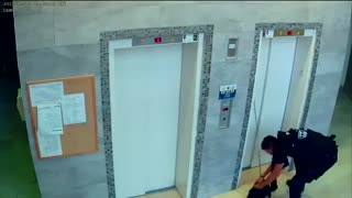 Hombre salvó a un perro atrapado por las puertas de un ascensor