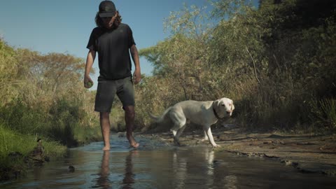 Person and dog walk in a creek
