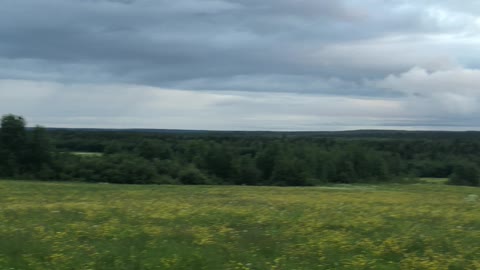 Beautiful sky and flower meadow