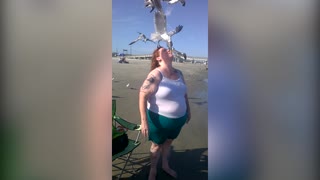 Forget The Dog Whisperer, Meet The Seagull Whisperer